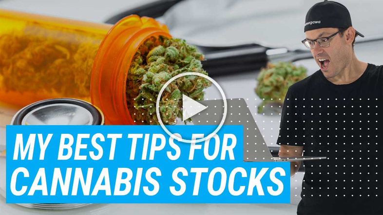 My Best Tip For Trading Penny Cannabis Stocks on The Rise {VIDEO} Thumbnail
