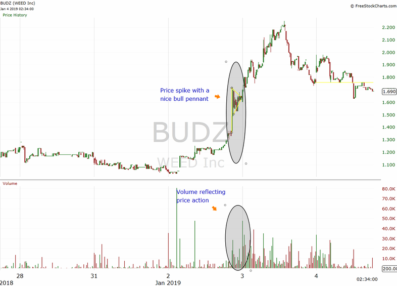 budz-stock-chart