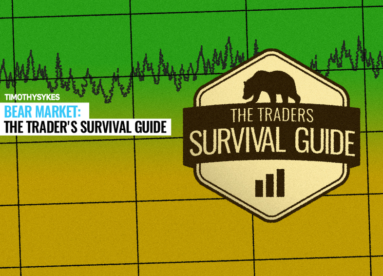Bear Market: The Trader’s Survival Guide Thumbnail