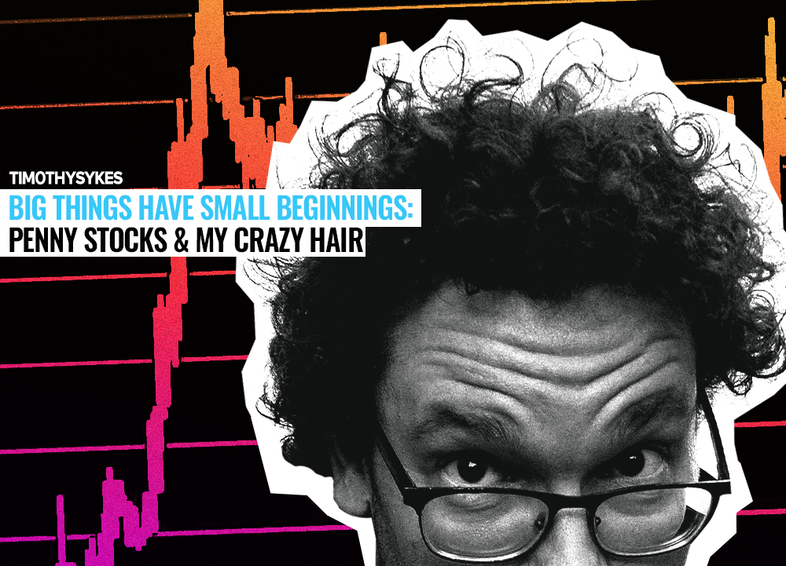 Big Things Have Small Beginnings: Stocks and My Crazy Hair Thumbnail