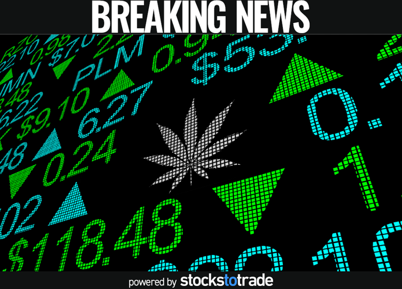 Marijuana Legalization Vote to Come, Stocks Soar Thumbnail