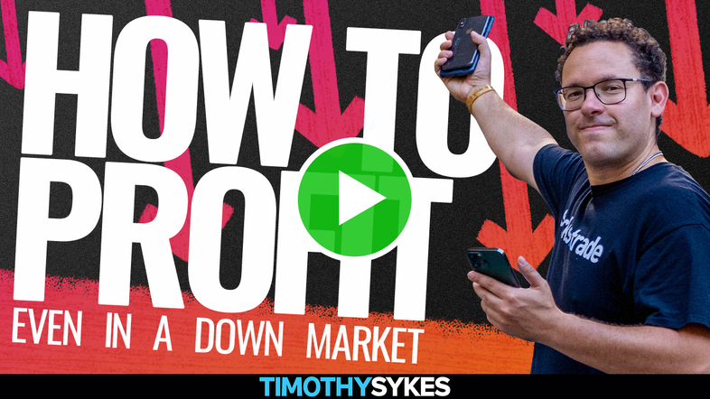 How To Profit Even In A Down Market {VIDEO} Thumbnail