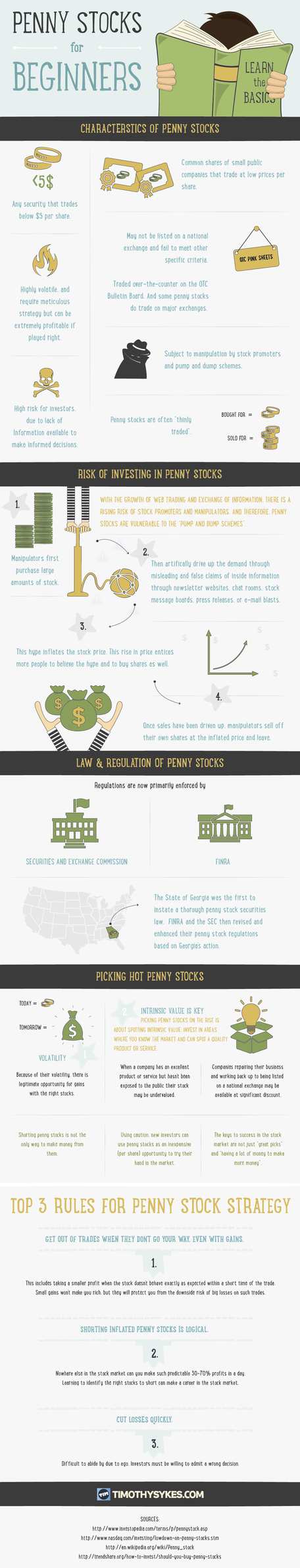 Penny Stocks for Beginners Infographic