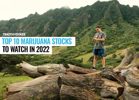 Image for Top 10 Marijuana Stocks to Watch in 2022