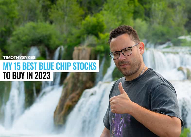 My 15 Best Blue Chip Stocks to Buy in 2023 Thumbnail