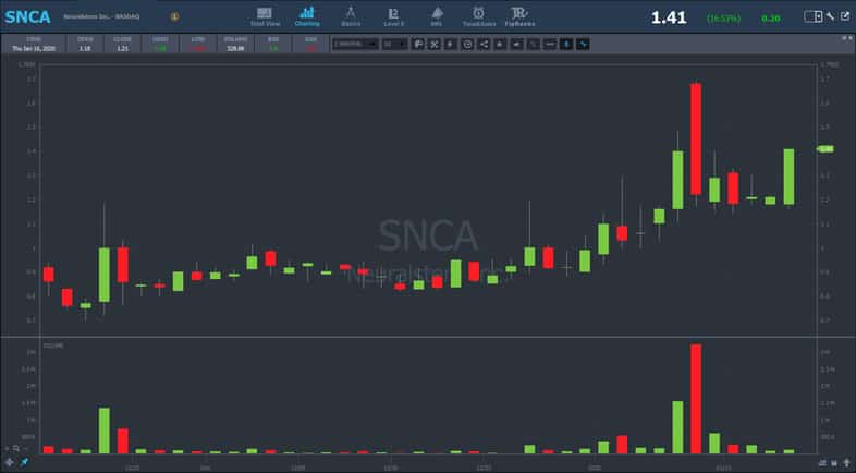 SNCA chart