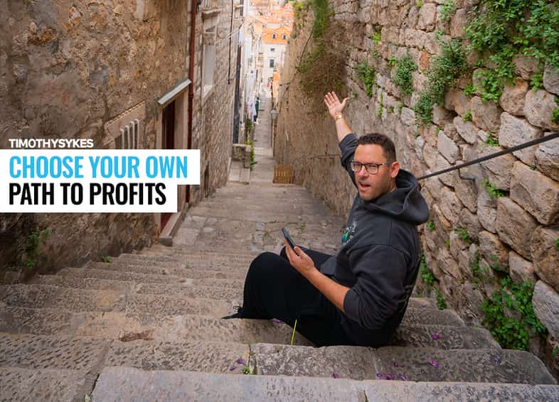 Choose Your Own Path to Profits Thumbnail