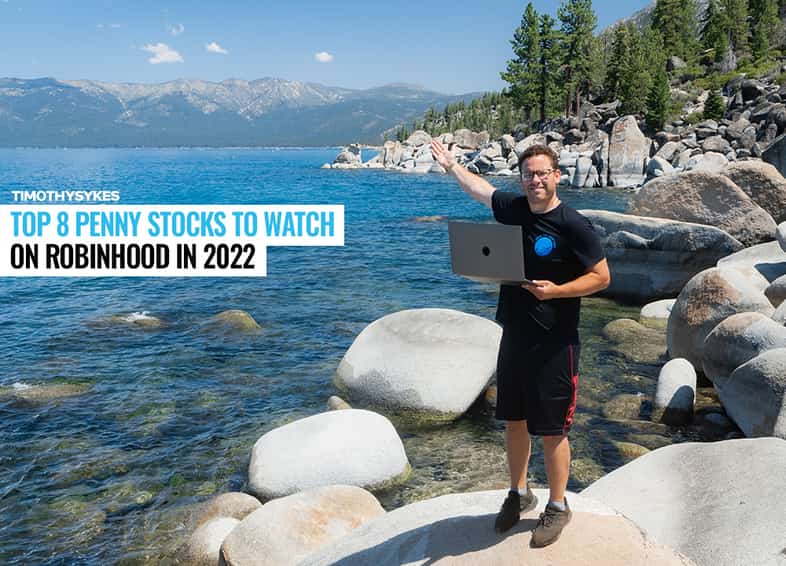 Top 8 Penny Stocks to Watch on Robinhood in 2022 Thumbnail