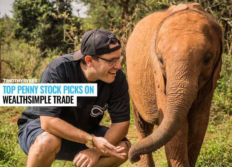 Top Penny Stocks Picks on Wealthsimple Trade Thumbnail