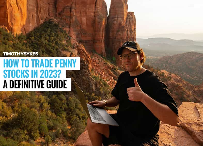 penny stock guide - cover image