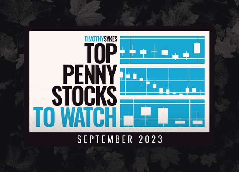 Top Penny Stocks to Watch for September 2023 Thumbnail