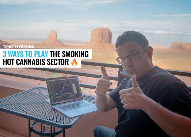 3 Ways To Play The Smoking Hot Cannabis Sector 🔥 Thumbnail