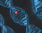 Image for TXG Stock Drops 13% As 10x Genomics Faces Sharp Selloff recomended post