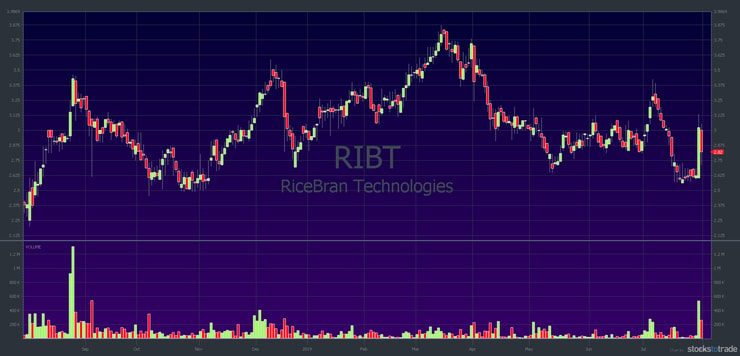 RIBT: 1-year chart; 1-day candlestick. Volume and price spike July 30, 2019