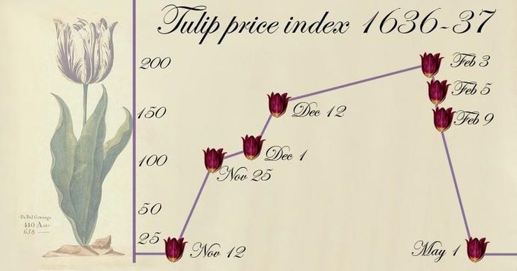 stock market bubble tulip