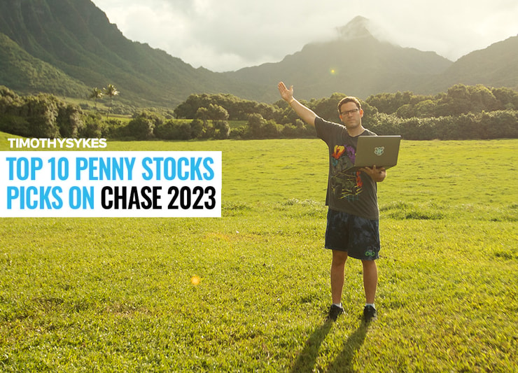 Top 10 Penny Stocks Picks on Chase 2024 Thumbnail