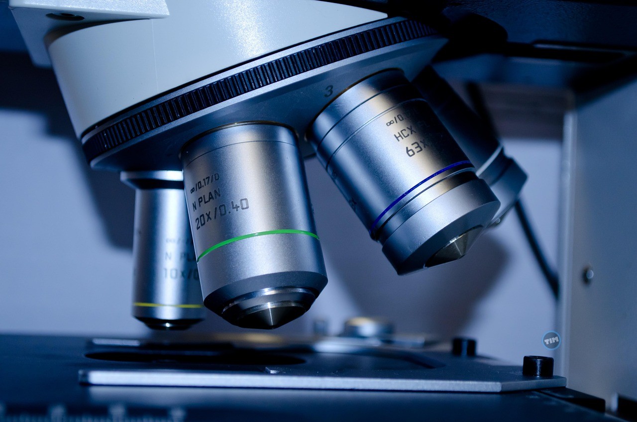 AARD Stock Slides As ARD-101 Faces FDA Hold, Lawsuits Thumbnail
