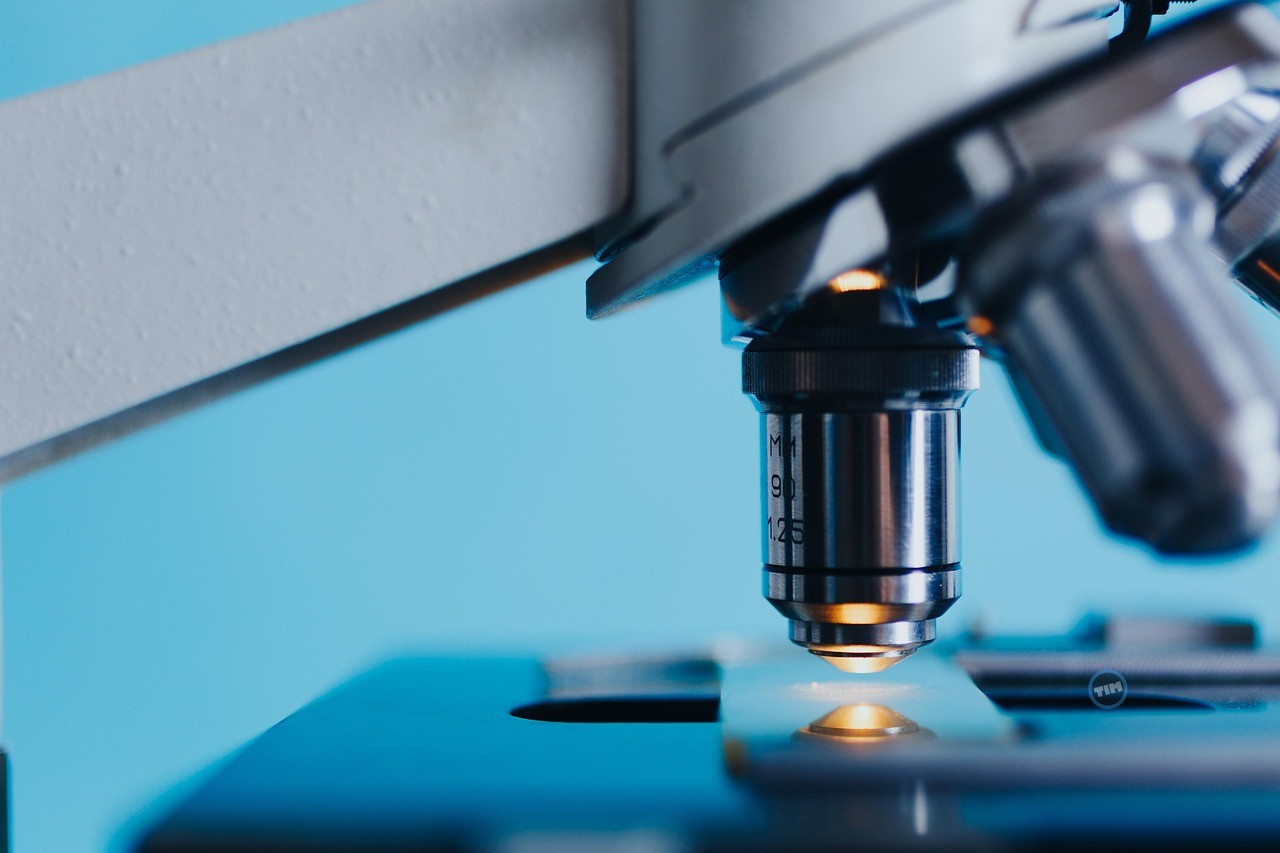 NAUT Stock Climbs As Roth Sets Bullish $3.50 Target Thumbnail