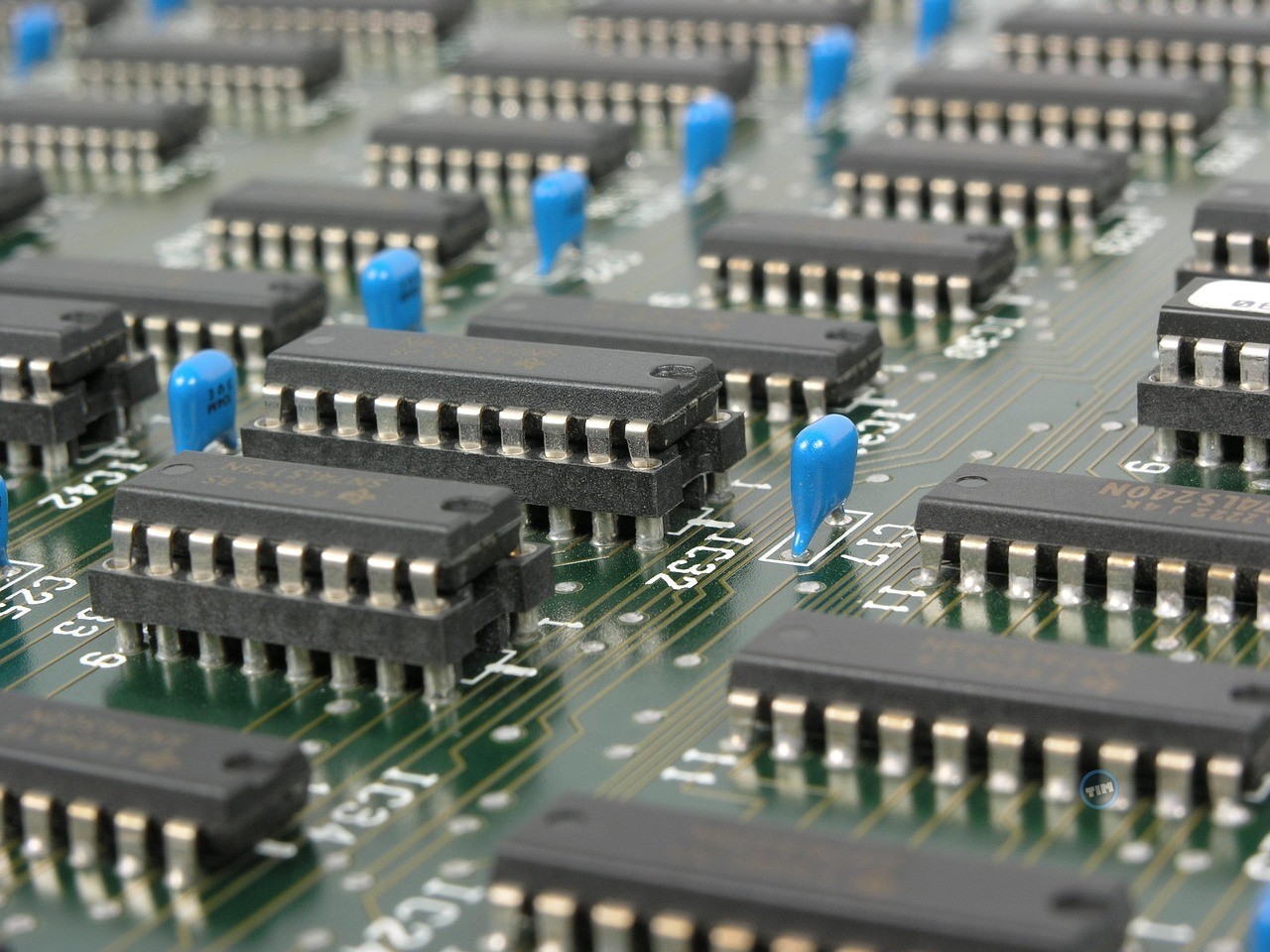XLAB Stock Slides As Traders Focus On Weak Financials And Volatility Thumbnail